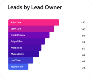 A graph example of leads by lead owner.