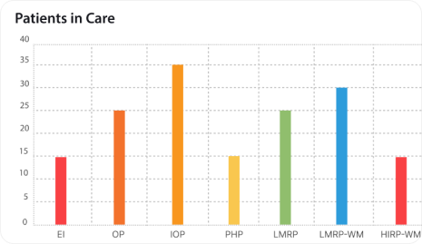 A graph example of patients in care.